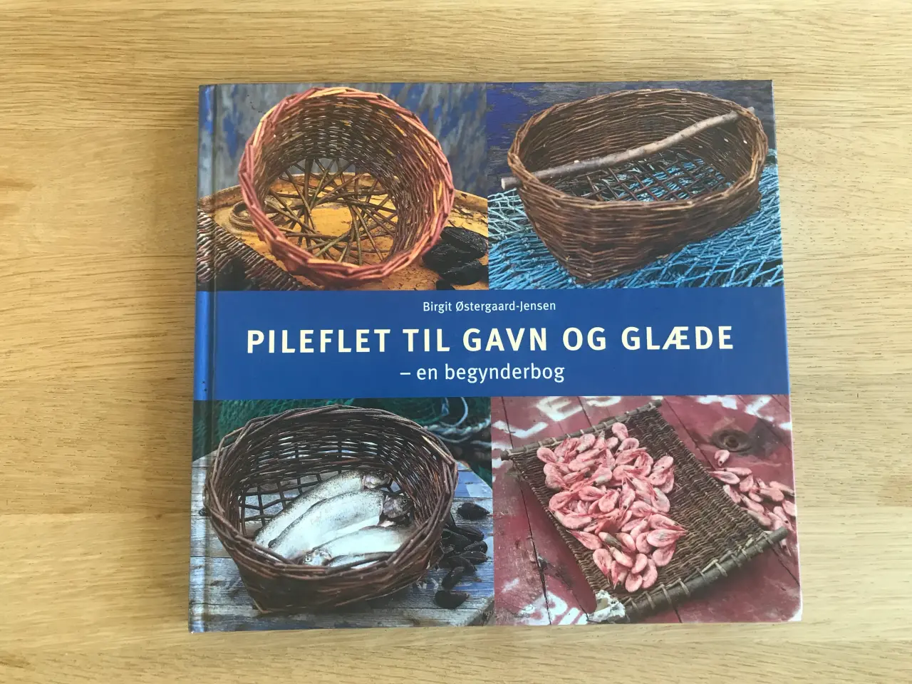 Billede 1 - Pileflet Til Gavn og Glæde - en begynderbog