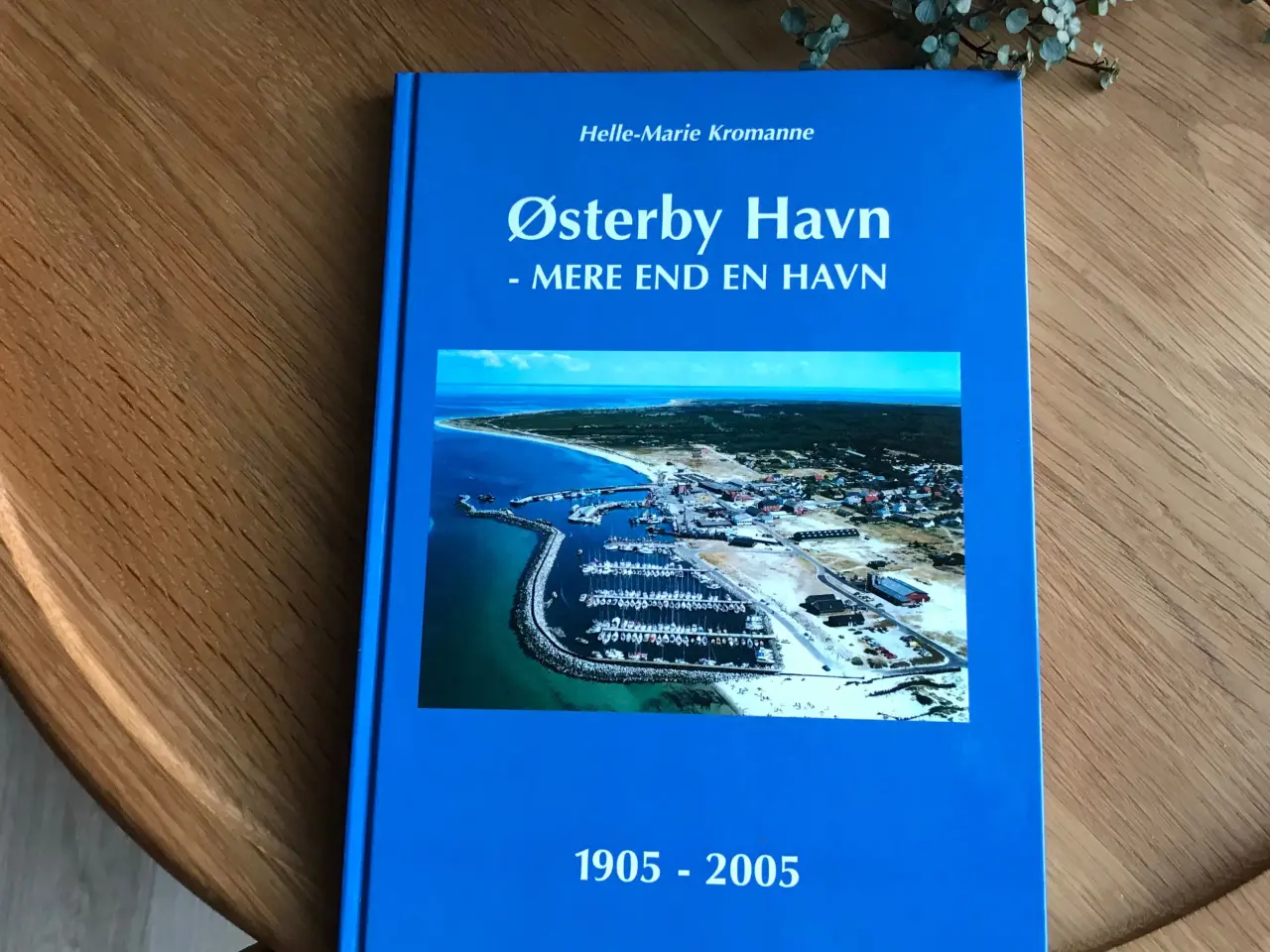 Billede 1 - Østerby Havn - mere end en havn