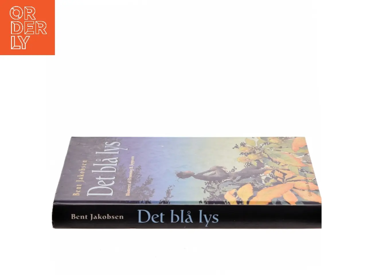 Billede 2 - Det blå lys af Bent Jakobsen (f. 1959-08-21) (Bog)