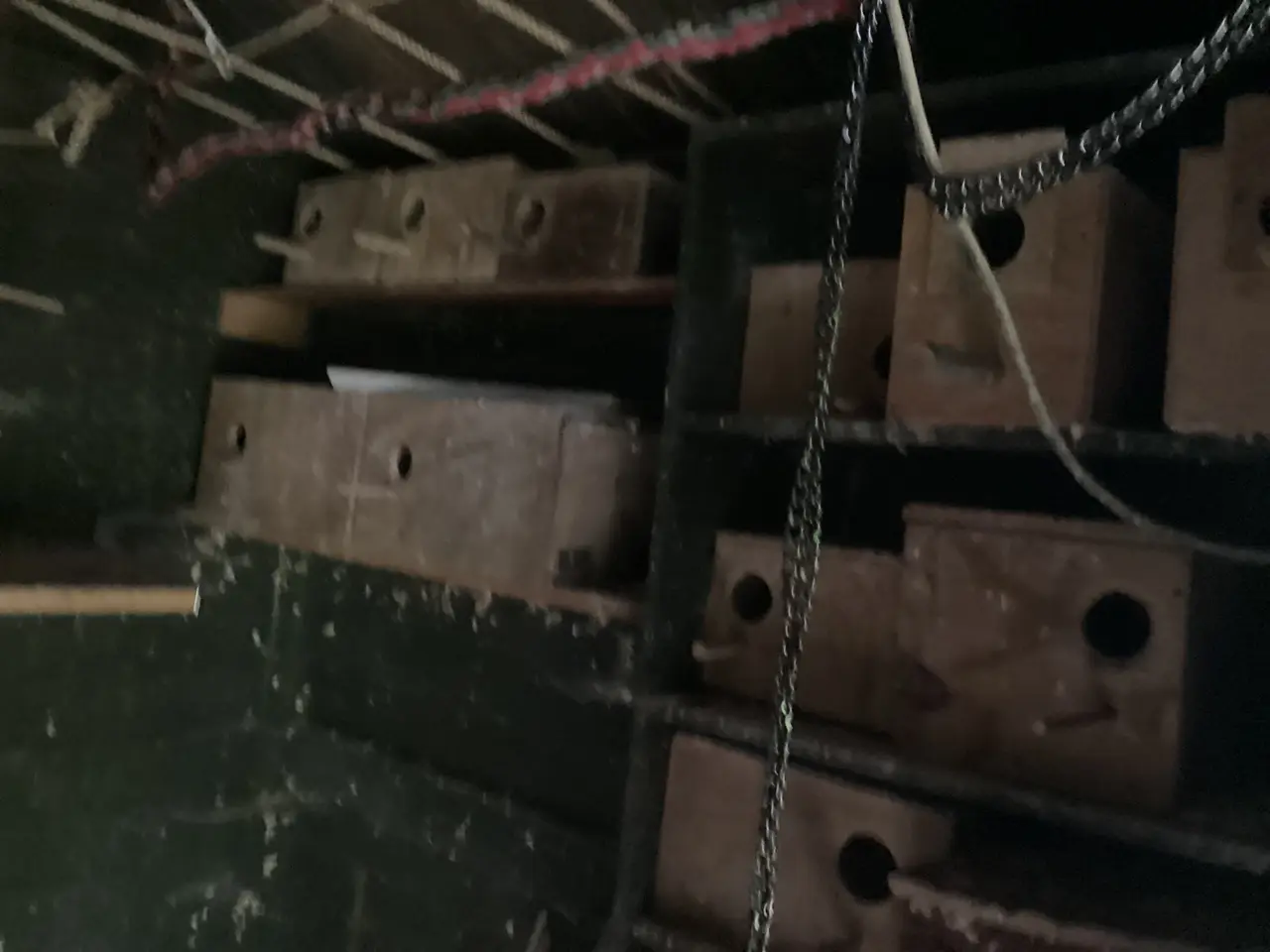Billede 8 - VI TØMMER VOLIERE
