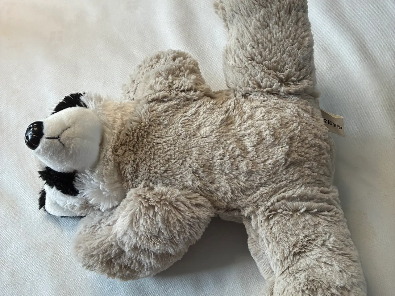 Billede 3 - Blød vaskebjørn, bamse