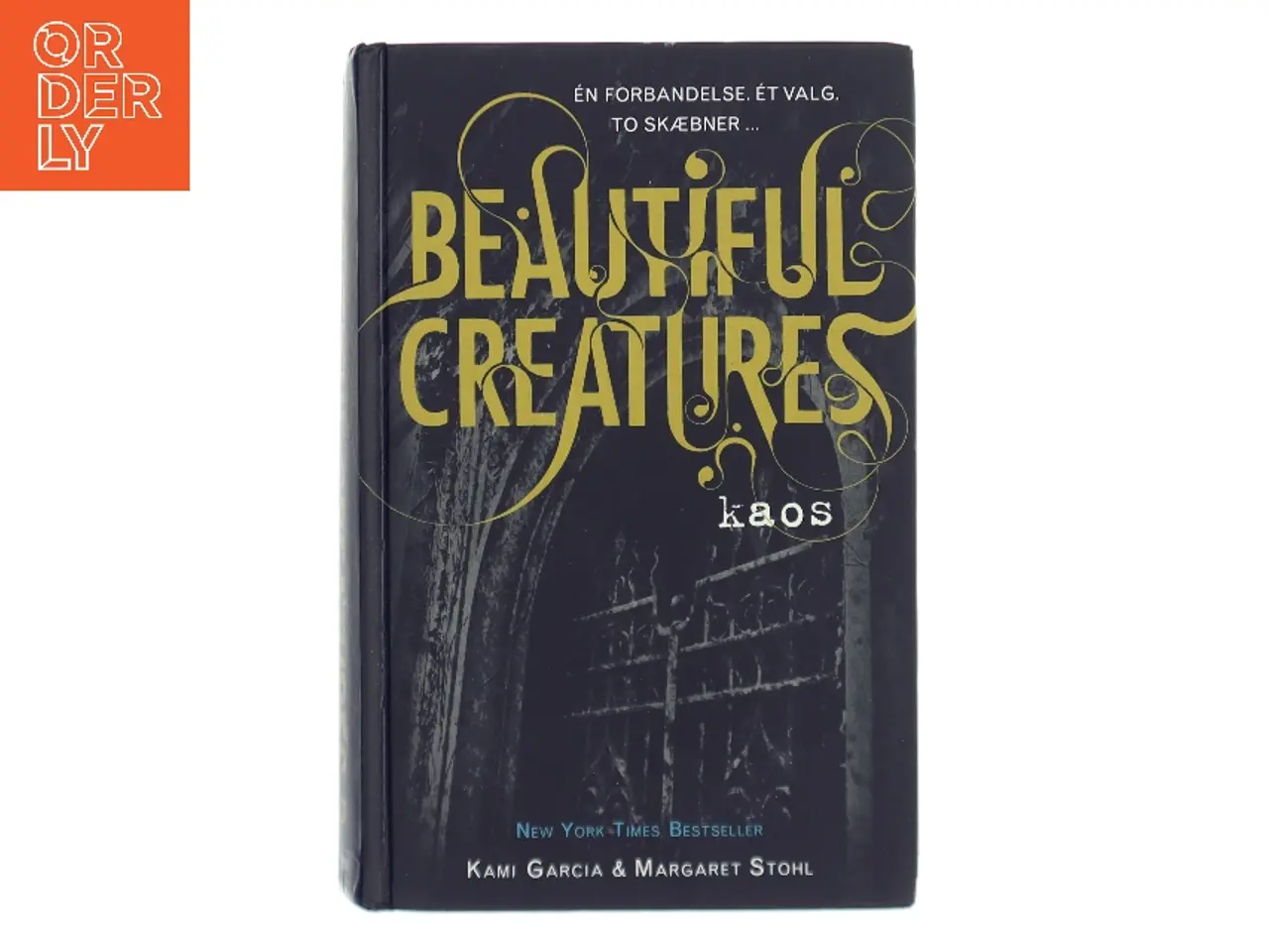 Billede 1 - Beautiful creatures - kaos af Kami Garcia (Bog)