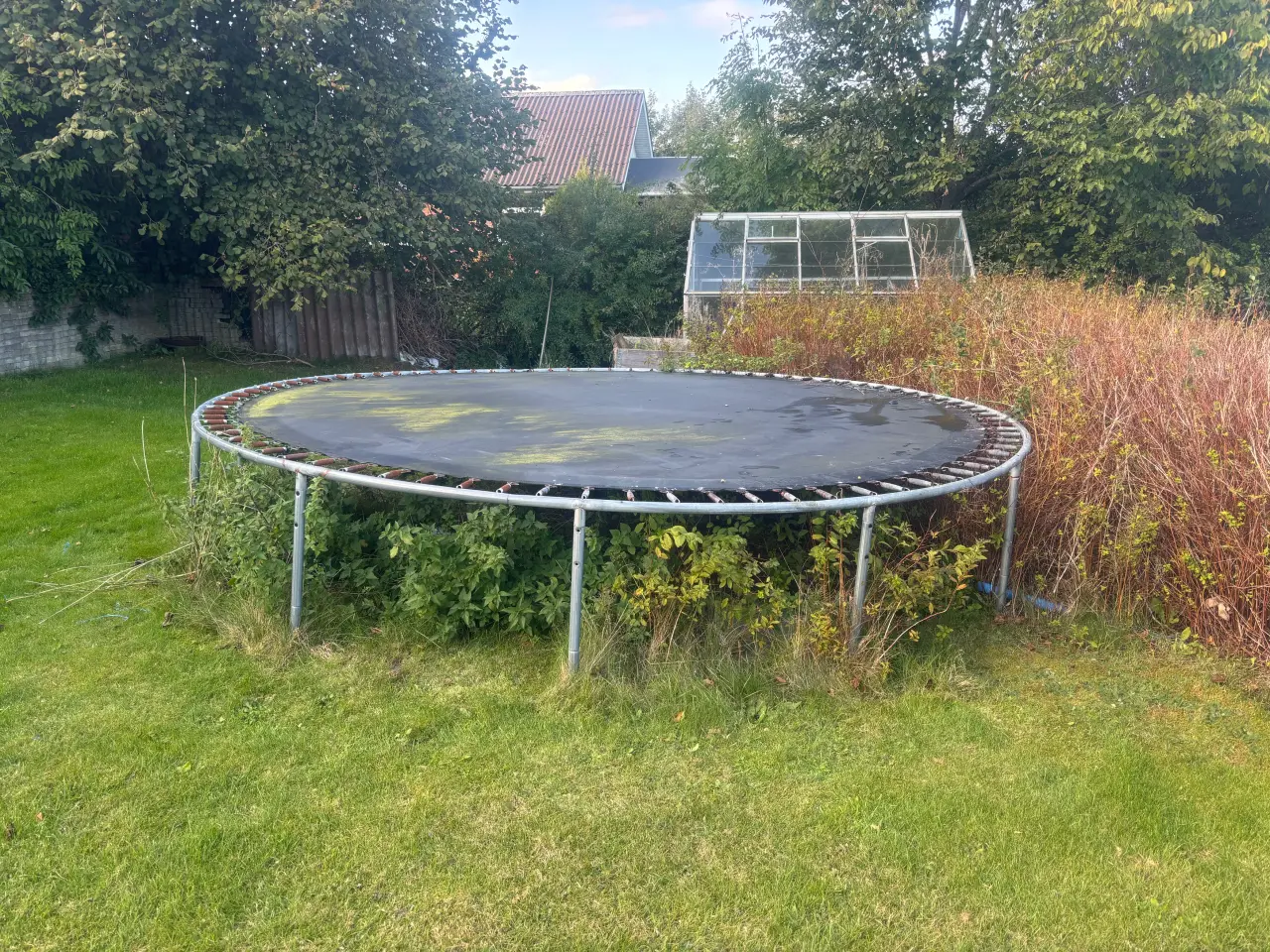 Billede 1 - Trampolin gives væk