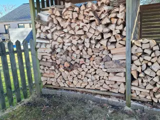 Brænde løvtræ (store stammer)