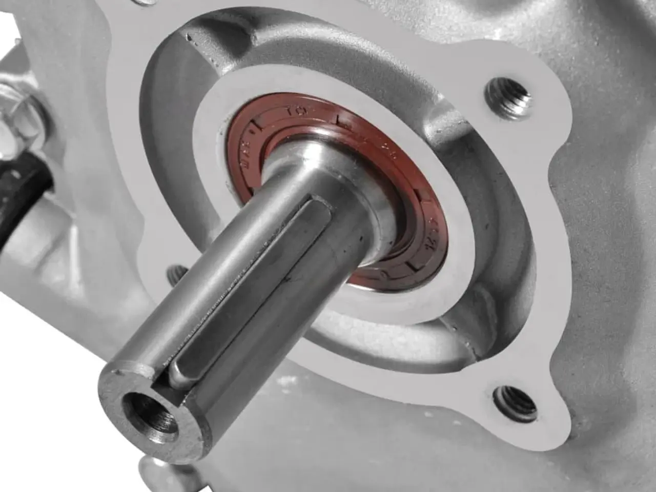 Billede 6 - Benzinmotor 6,5 hk 4,8 kW - rekylstart, sort