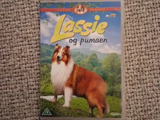Lassie