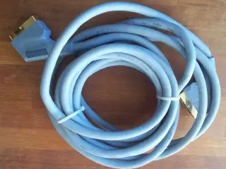 Tara Labs Gold scartkabel