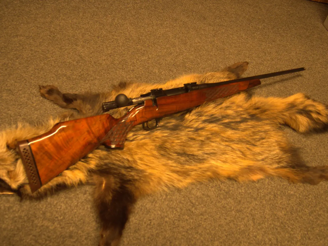 Billede 1 - Brugt Nikko Golden Eagle 7x64 Model 7000 Grade 2