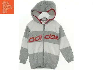 Grå og Hvid Hættetrøje fra Adidas fra Adidas (str. 98)