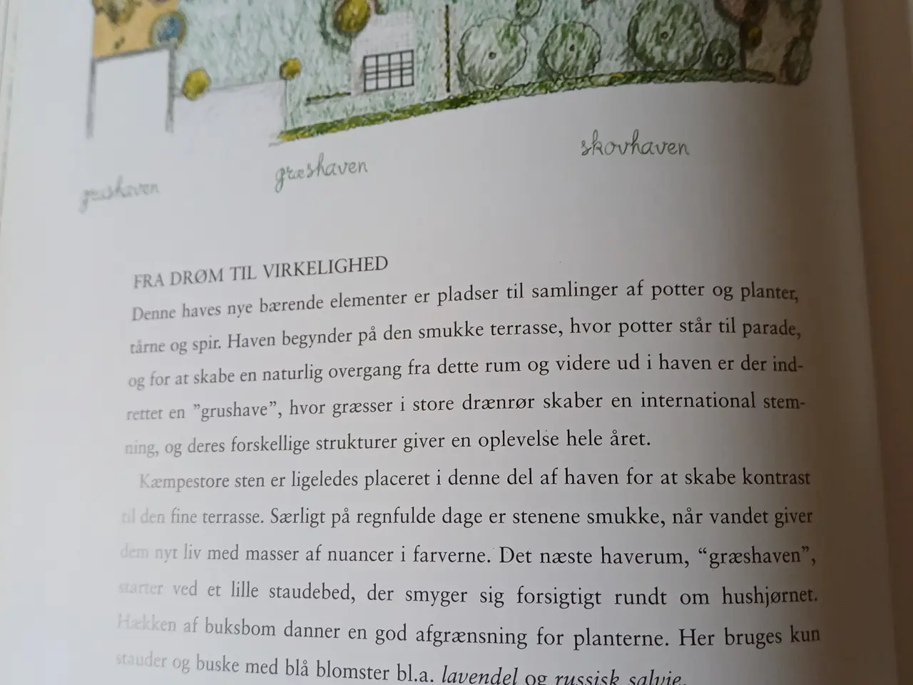 Billede 4 - Have haves – Fra haveplan til drømmehave - Stig L.
