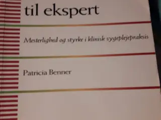 Fra Novice til ekspert