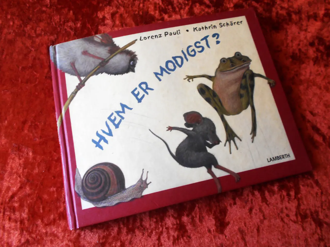 Billede 1 - Hvem er modigst?,  Lorenz Pauli,