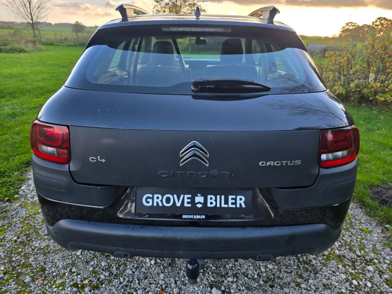 Billede 4 - Citroën C4 Cactus 1,6 BlueHDi 100 Shine Van