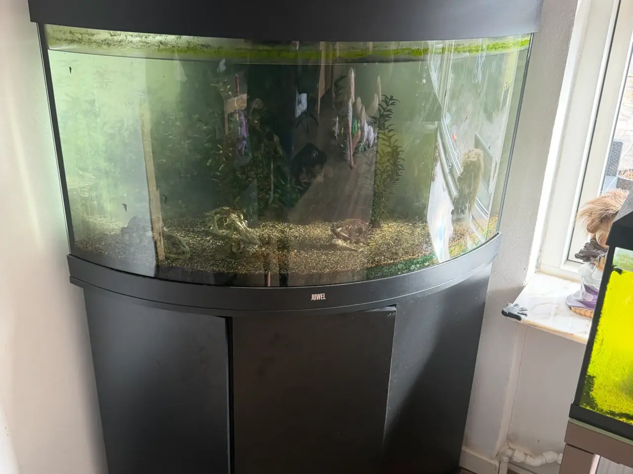 Billede 1 - Akvarium 190 L
