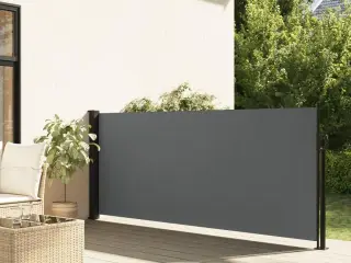 Udtrækkelig sidemarkise antracit 140x500 cm