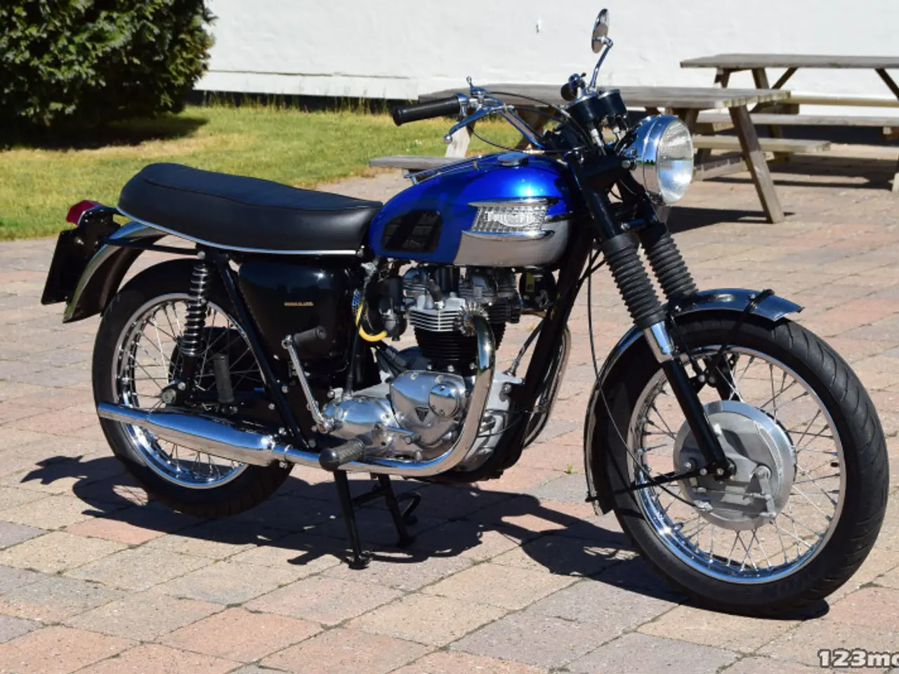 Billede 3 - Triumph Trophy 650 Classic Bike