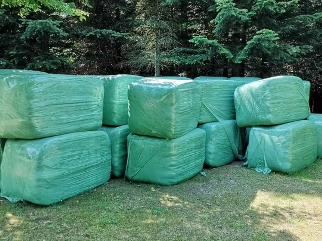 Billede 1 - Wrap  til heste