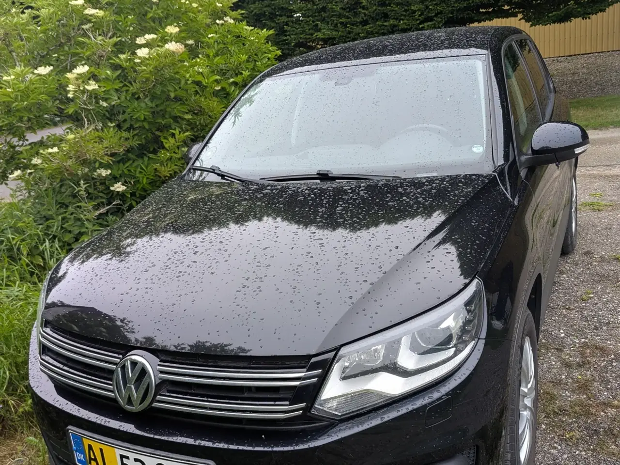 Billede 5 - VW Tiguan 2,0 TDi 110 Trend & Fun BMT Van