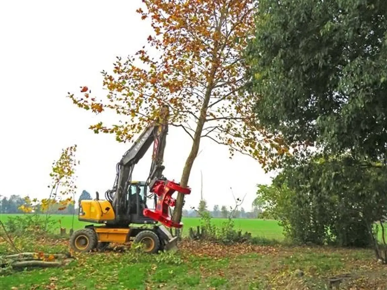 Billede 2 - CMB PW350 FÆLDEHOVED, TRÆKLIPPER, TREECUT