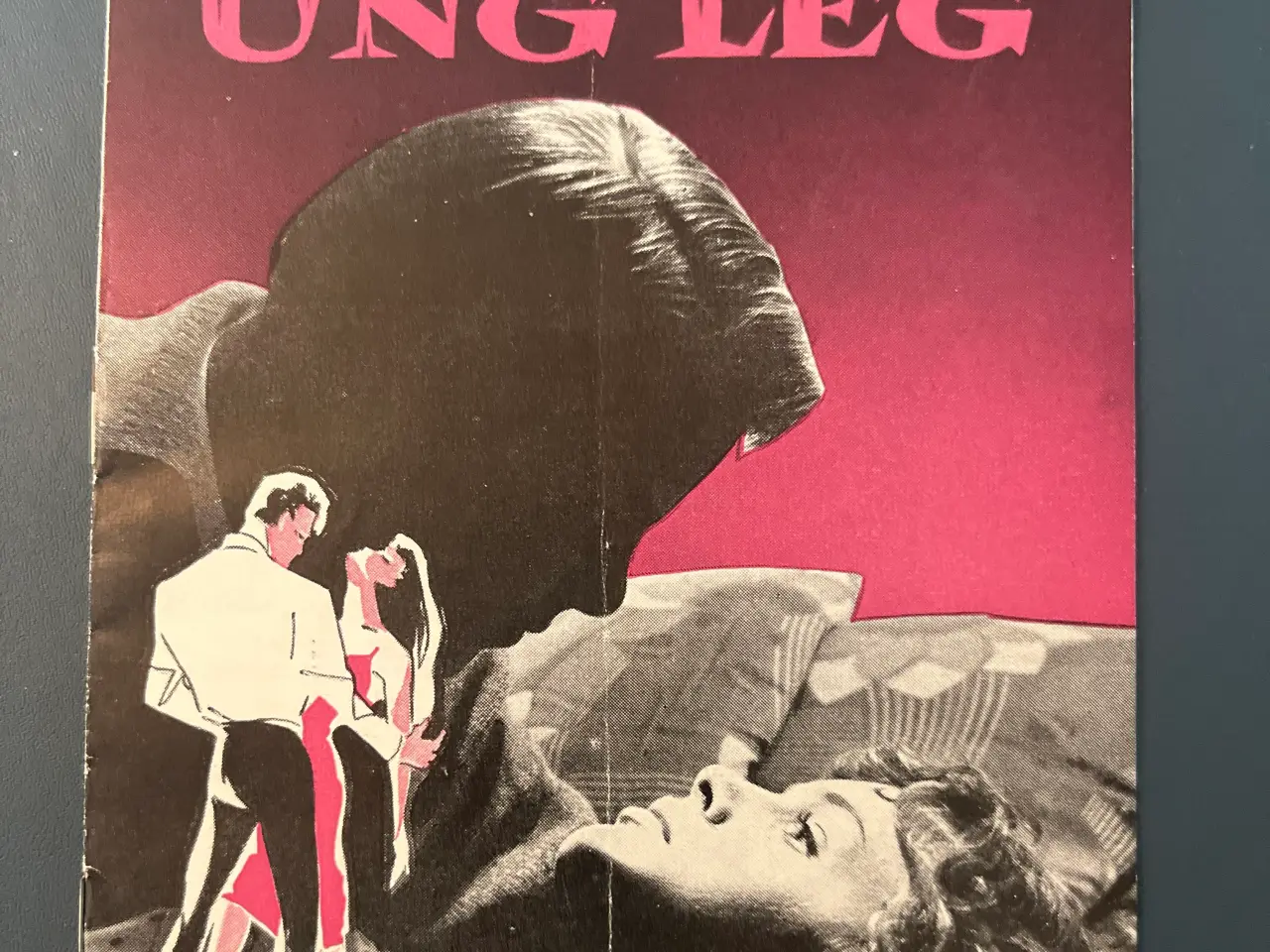 Billede 1 - Ung leg