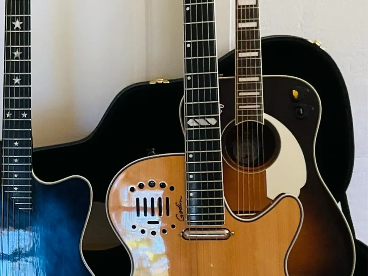 Billede 1 - Godin steel