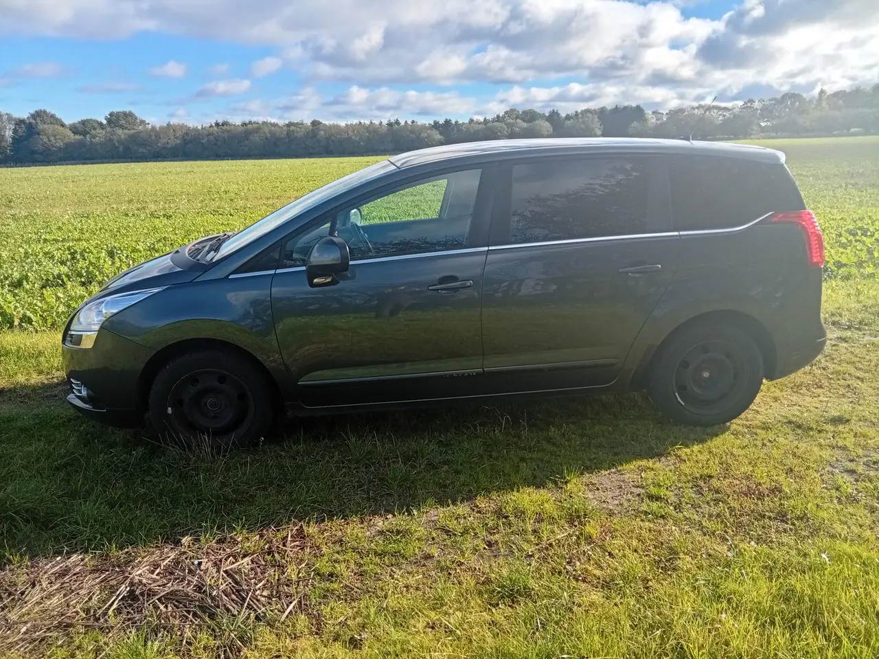 Billede 1 - Peugeot 5008