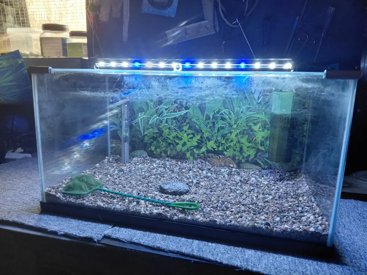Billede 2 - Akvarier 52L 