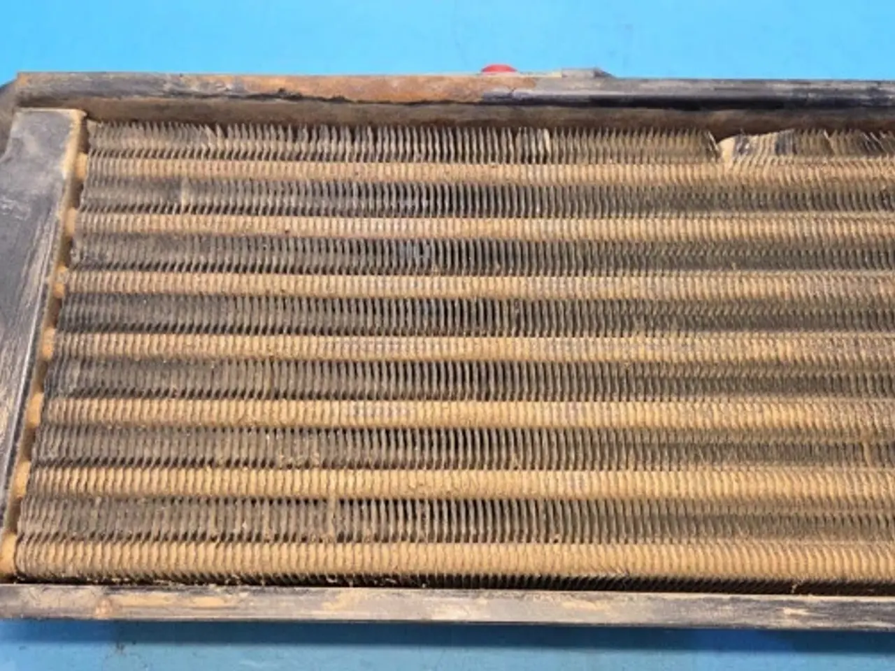 Billede 13 - Massey Ferguson 6260 Køler 3780458M1