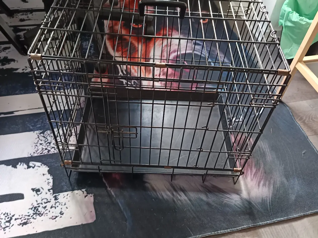 Billede 1 - Lille bur til hunde