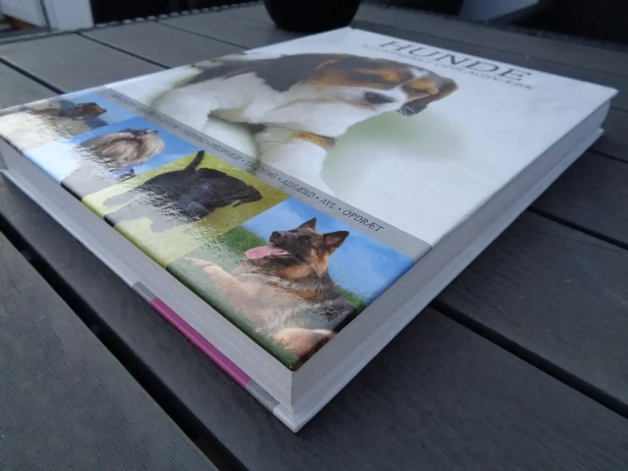 Billede 2 - Hunde