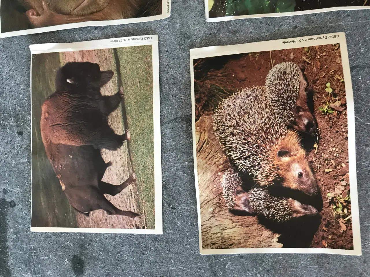 Billede 2 - 6 stk ESSO samlealbum klistermærker