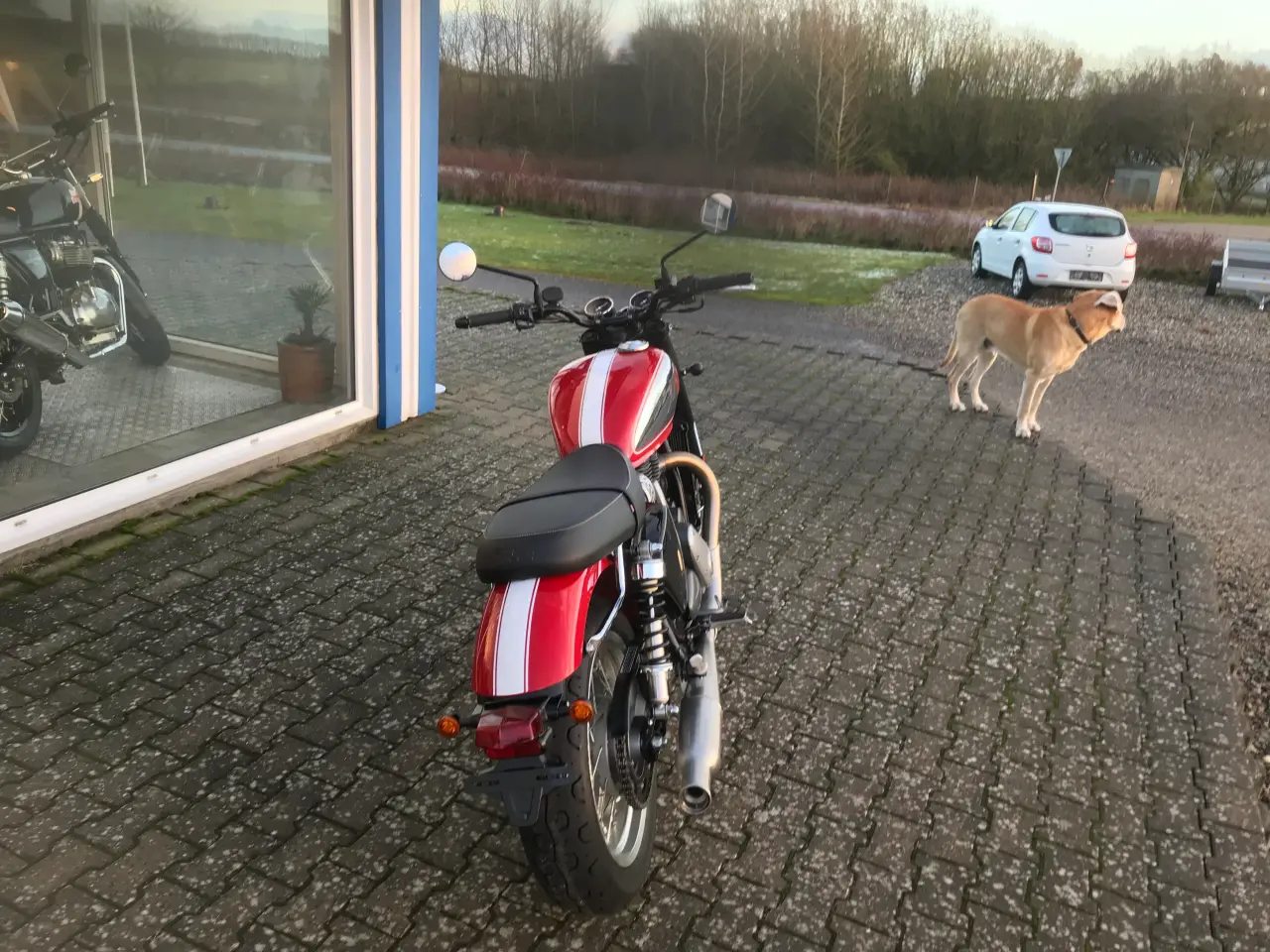 Billede 4 - BSA Gold star 650 Insignia red 99998.-