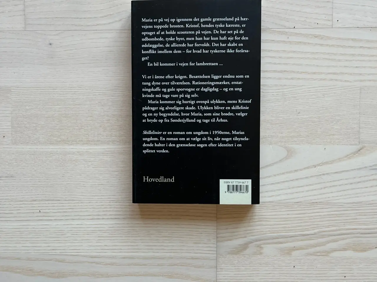 Billede 2 - Skillelinier