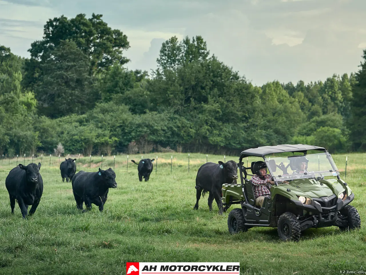 Billede 8 - Yamaha YXM 700 Viking EPS Olive Green Traktor