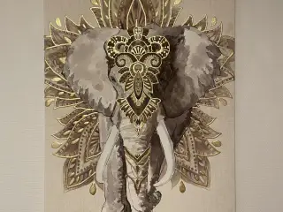 Elefant billede