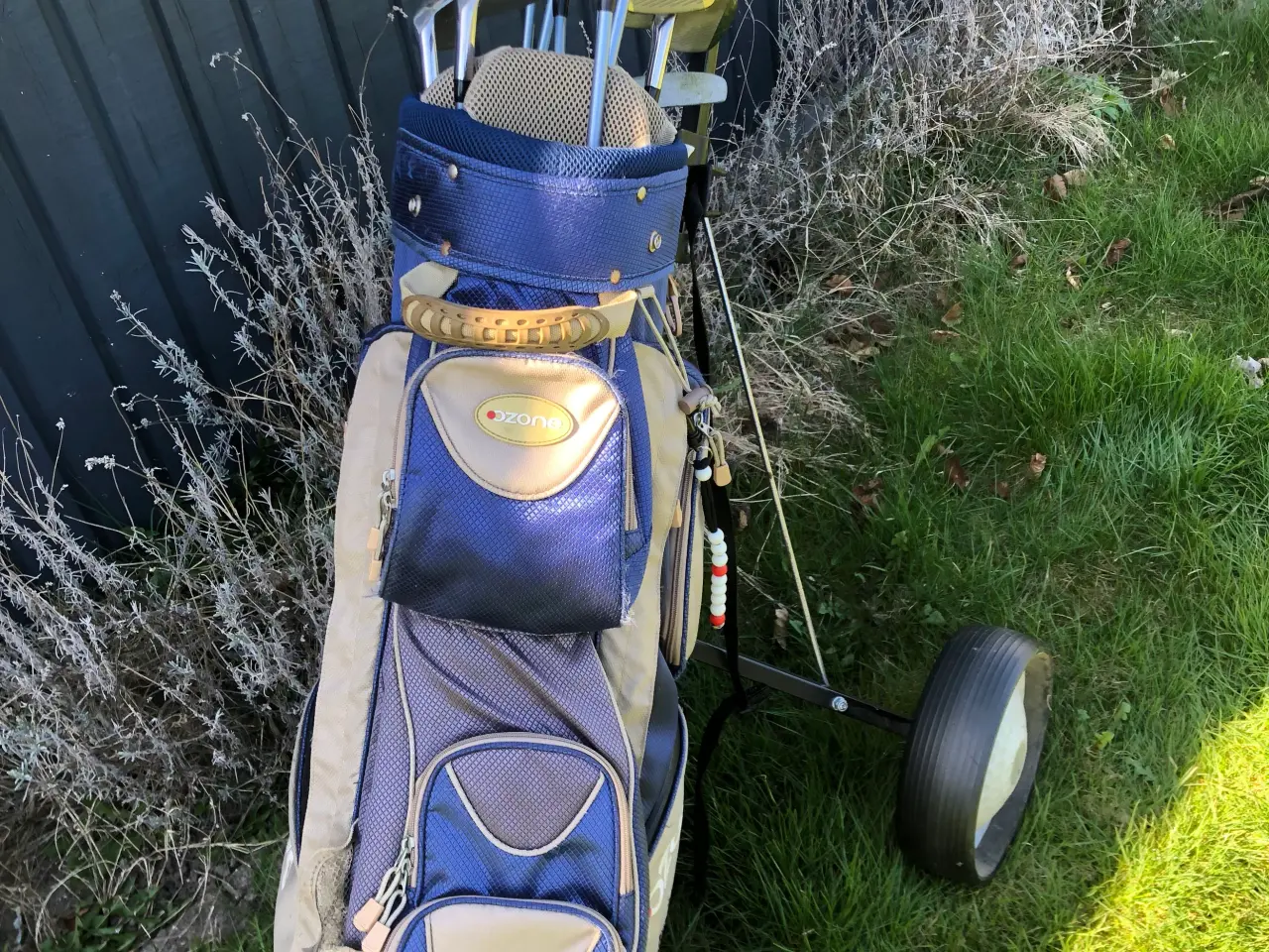 Billede 1 - Golfkøller med bag og vogn