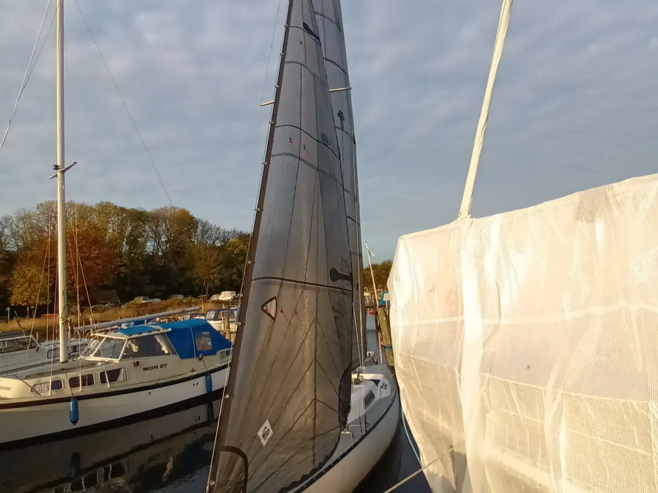 Billede 2 - Carbon Sejl safir 10m 