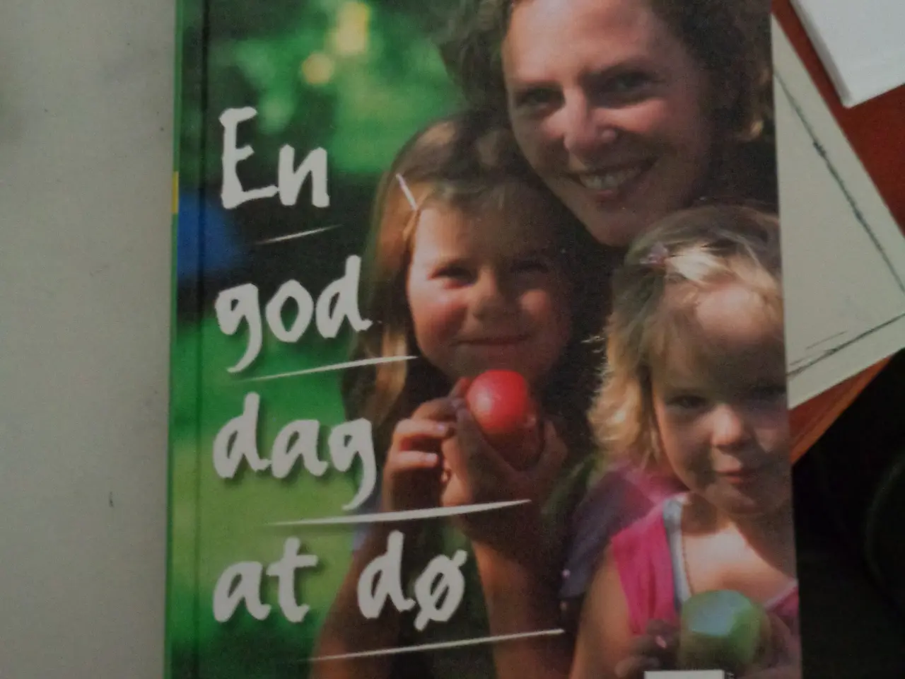 Billede 3 - Virkelighedens verden