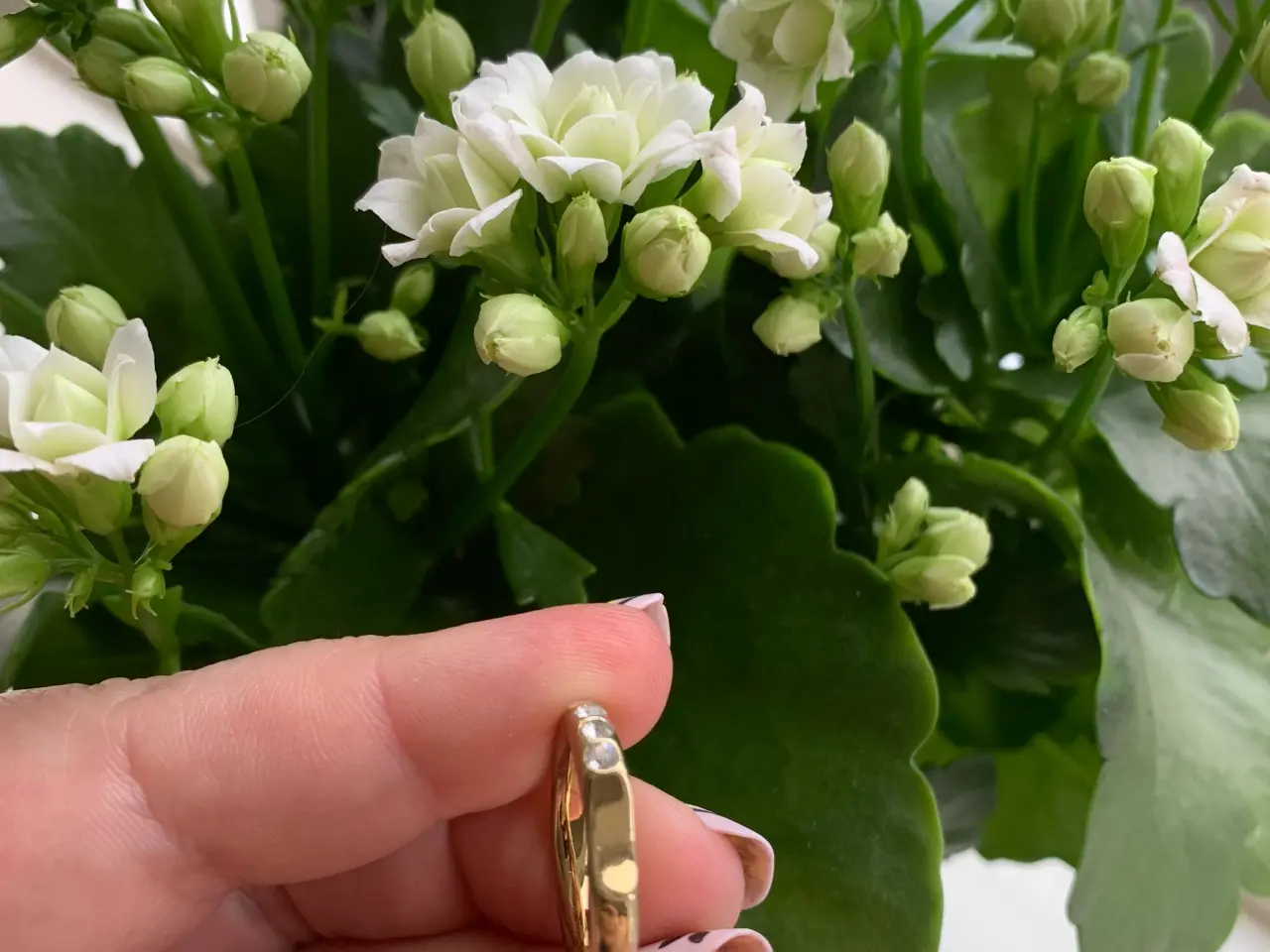 Billede 3 - Dyrberg Kern Ring med Zirkonia Sten