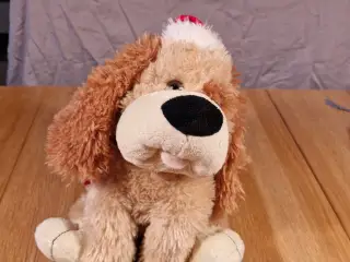 Syngende hund
