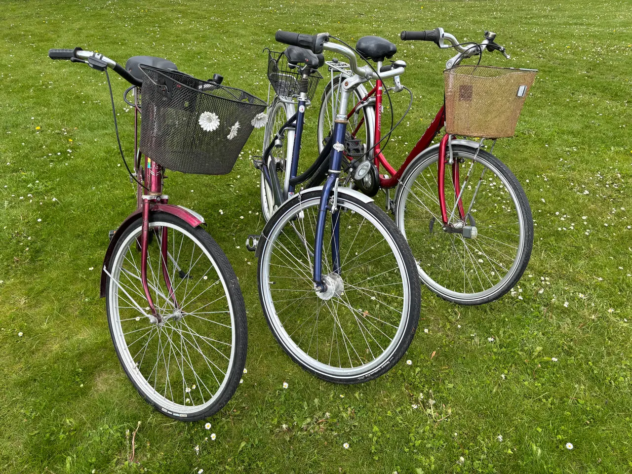 Billede 2 - Cykleklar , dame/ pige cykler 
