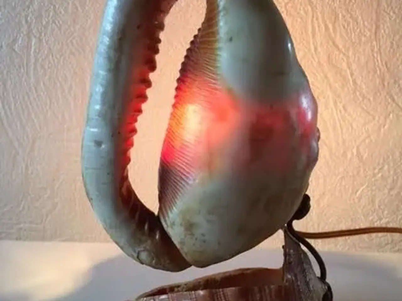 Billede 7 - Bordlampe lavet af skaller