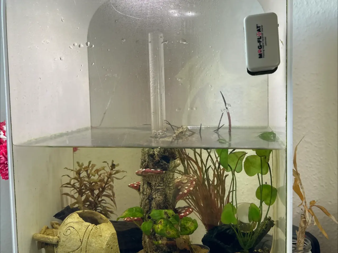 Billede 1 - BiOrb akvarium 60 L 