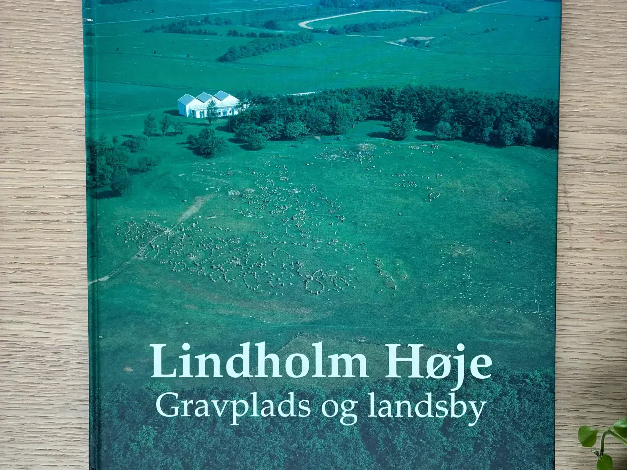 Billede 1 - Lindholm Høje  -  Gravplads og landsby  