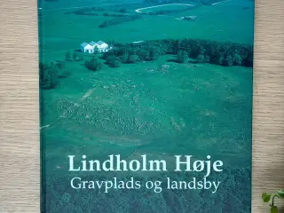 Lindholm Høje - Gravplads og landsby