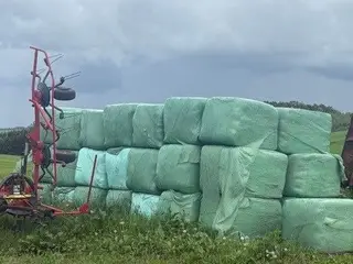 Tørt Wrap HØ 40 stk