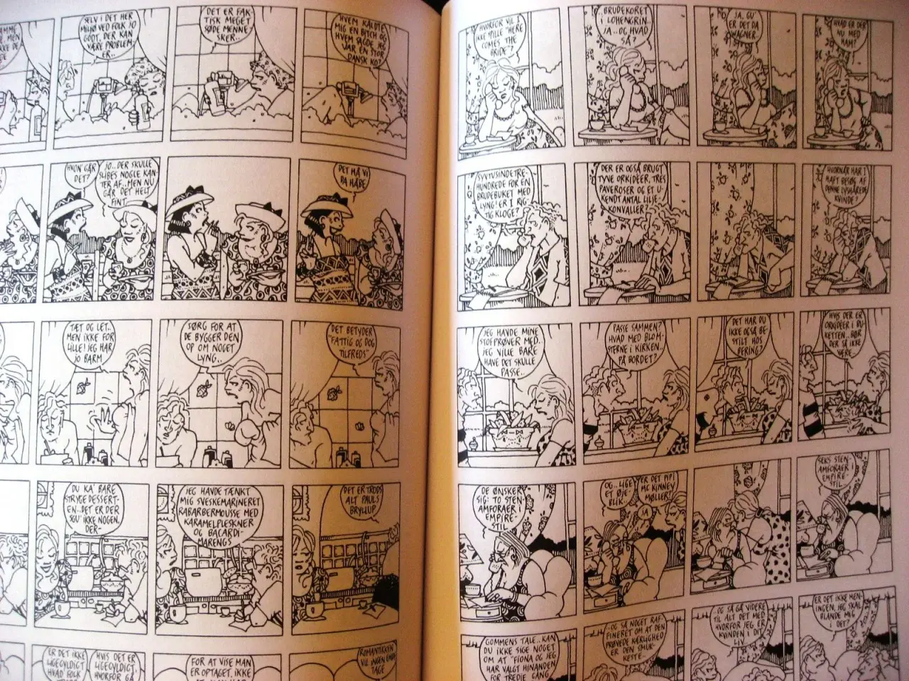 Billede 5 - I storbyens favn (humor), Nikoline Werdelin