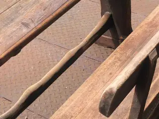 Skolepult