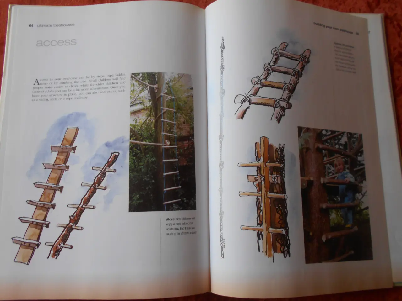Billede 2 - Ultimate treehouses, David Clark