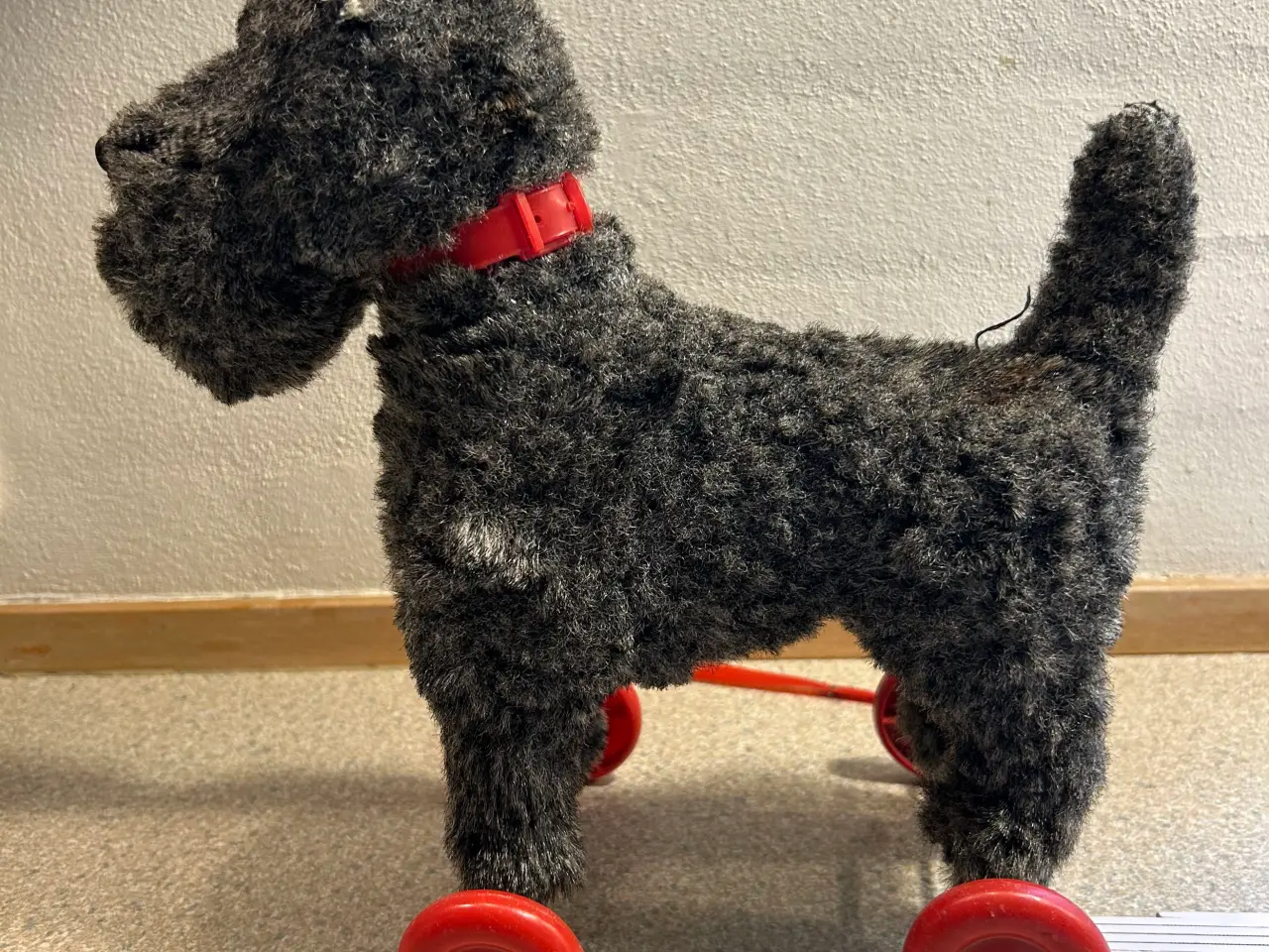 Billede 1 - Skotsk Terrier trækkehund